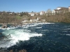 thumbs Rheinfall DSC 1476 Gallery